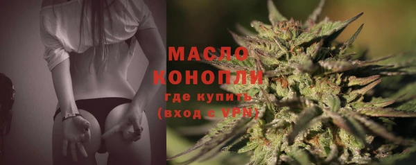 индика Богданович