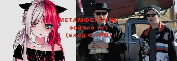 индика Богданович