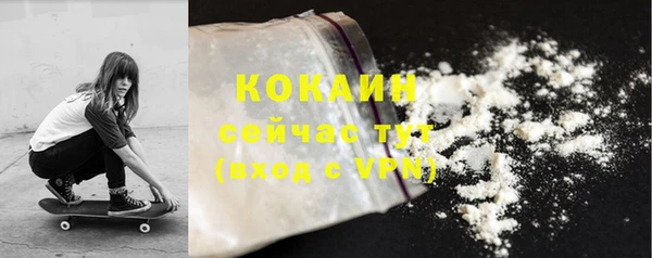 дживик Богородск