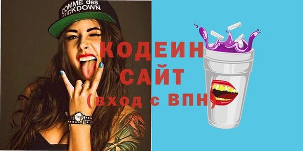 дживик Богородск