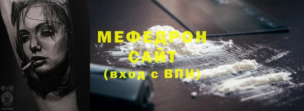 индика Богданович