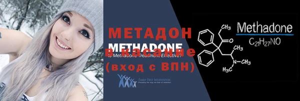 индика Богданович