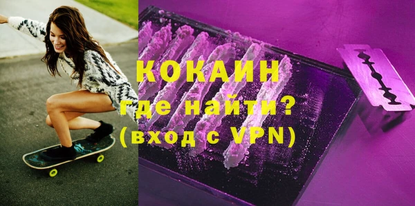 дживик Богородск