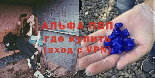 дживик Богородск