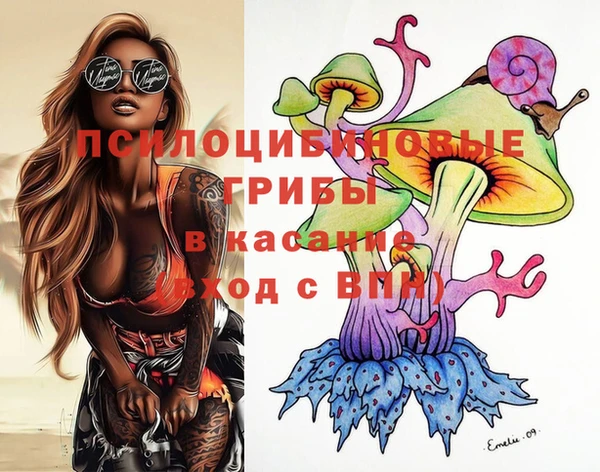 гашиш Богородицк