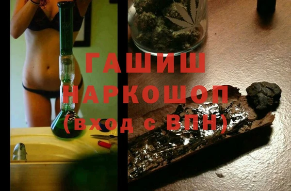 индика Богданович