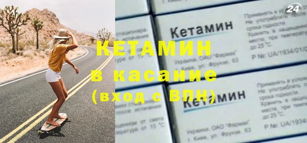 индика Богданович