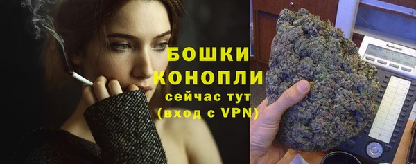 индика Богданович