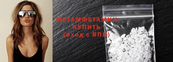 индика Богданович