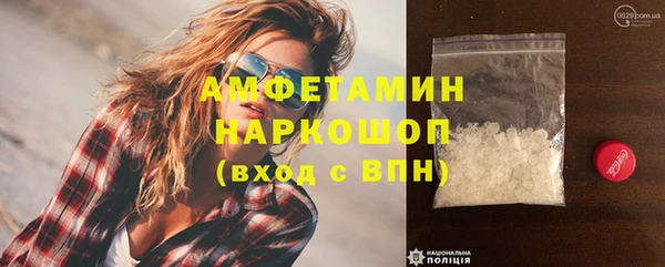индика Богданович