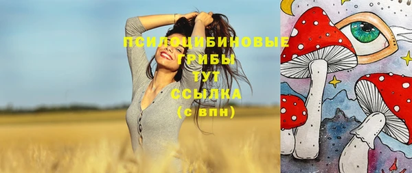 дживик Богородск