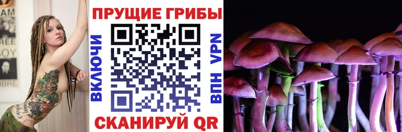 Псилоцибиновые грибы ЛСД  кракен зеркало  маркетплейс телеграм  Гороховец 